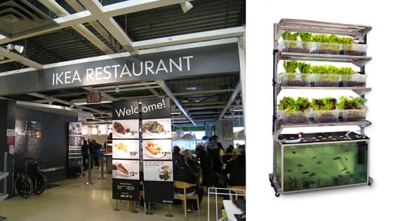 Urban Agriculture Via the IKEA Hack