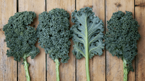 The Epic Rise of Kale - Full Tilt Marketing